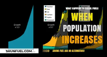 Population Growth's Impact: Fossil Fuel Demand and Environmental Consequences