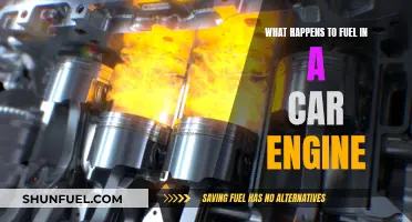 The Car Engine's Fuel: A Journey and Transformation