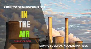 Breathing Fossil Fuels: The Alarming Impact on Human Health and Environment