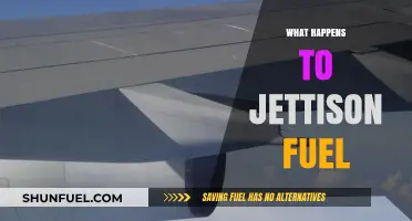 Jettisoned Fuel's Fate: Environmental Impact and Safety Concerns Explained