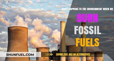 Burning Fossil Fuels: Environmental Consequences and the Path to Change