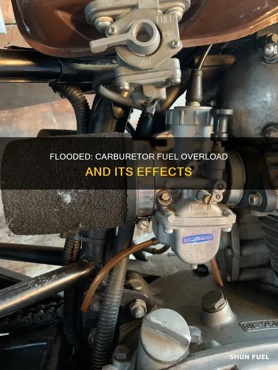 what happens when a carburetor gets too much fuel