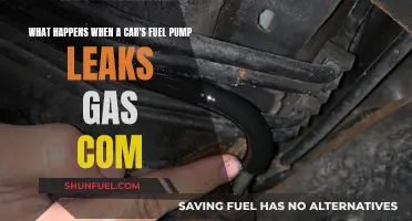 Fuel Pump Leaks: A Car Owner's Nightmare