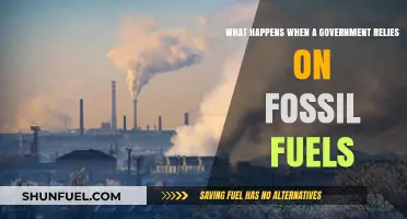 Fossil Fuel Dependence: Environmental, Economic, and Political Consequences for Governments