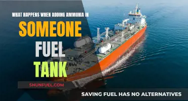 Ammonia in Fuel Tank: Damaging Effects and Solutions
