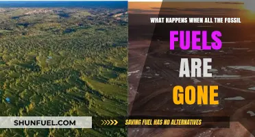 Life After Fossil Fuels: A World Without Oil, Coal, or Gas