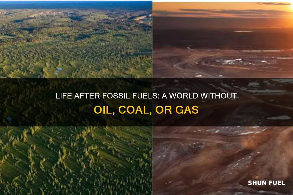 what happens when all the fossil fuels are gone