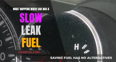 Fuel Leaks: Slow Damage to Your Car's Health