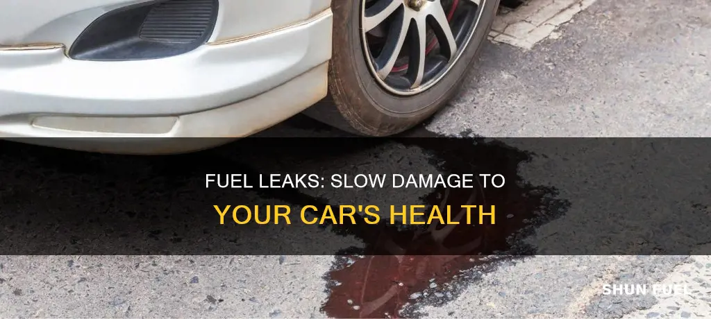 what happens when car has a slow leak fuel