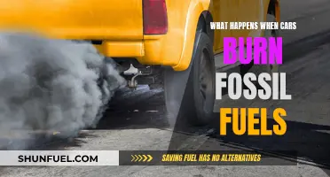 Cars' Fossil Fuel Burning: Damaging Our Planet and Health