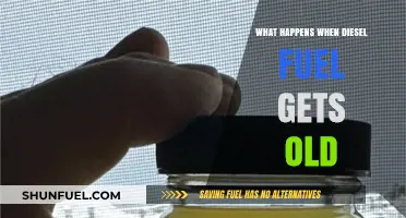 Old Diesel Fuel: What's the Worst That Could Happen?