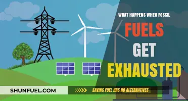 The Looming Energy Crisis: Life After Fossil Fuels Are Gone