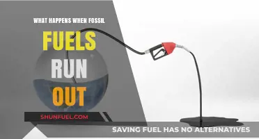 The Looming Energy Crisis: Life After Fossil Fuels Depletion