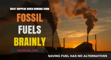 Burning Fossil Fuels: Environmental Impacts and Climate Change Explained