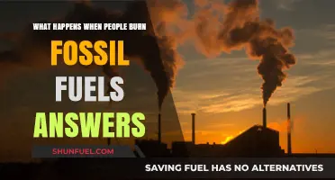 Burning Fossil Fuels: Consequences, Climate Impact, and Environmental Effects Explained