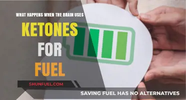 Ketones as Brain Fuel: Unlocking Cognitive Benefits and Metabolic Shifts