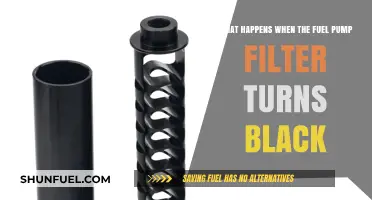 Fuel Pump Filter Turns Black: What's the Issue?