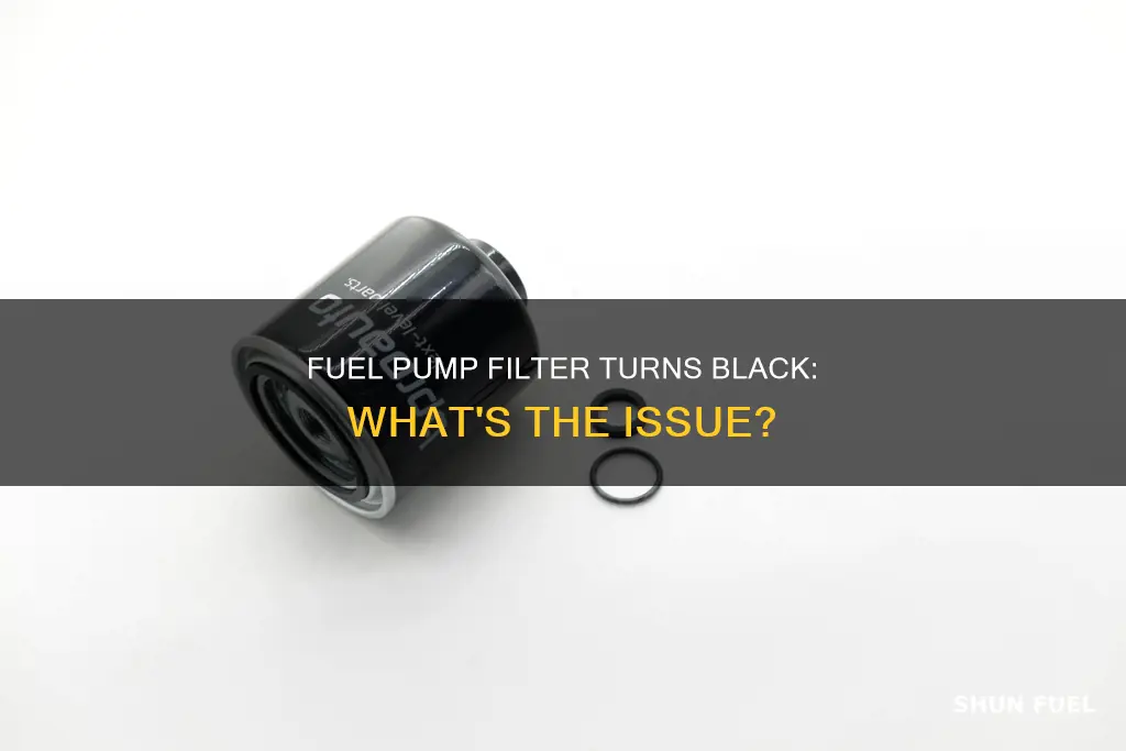 what happens when the fuel pump filter turns black