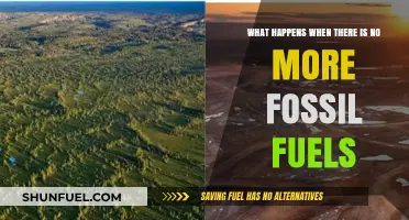 Life After Fossil Fuels: Exploring a World Without Finite Energy