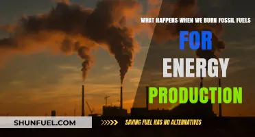 Burning Fossil Fuels: Unveiling the Environmental and Energy Consequences