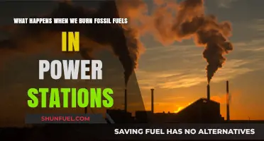 Burning Fossil Fuels: Power Generation's Impact on Climate and Environment