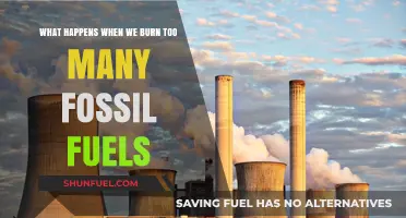 Burning Too Many Fossil Fuels: Consequences for Our Planet's Future