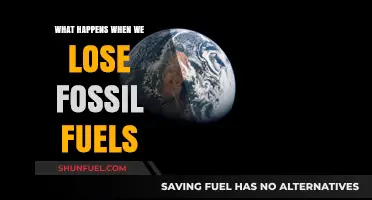 Life After Fossil Fuels: Challenges and Opportunities in a Post-Carbon World