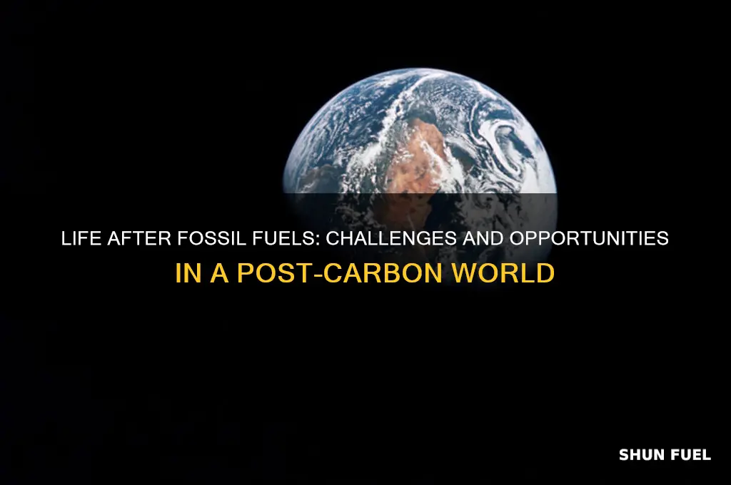 what happens when we lose fossil fuels