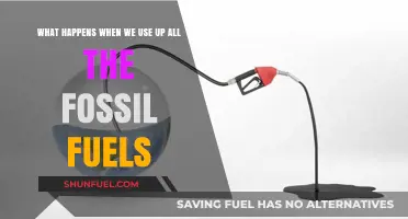 The Looming Crisis: Life After Fossil Fuels Are Depleted