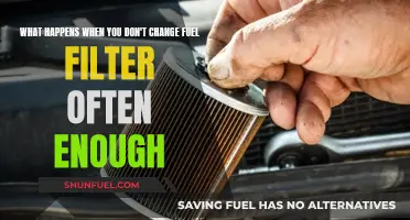 Fuel Filter Neglect: Engine Damage and Poor Performance