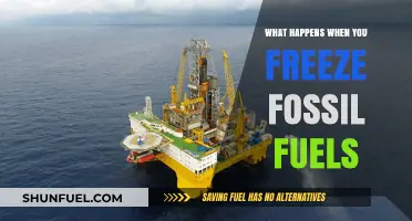 Freezing Fossil Fuels: Unveiling the Environmental and Economic Consequences
