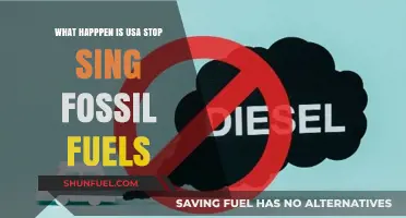 What Happens If the USA Stops Using Fossil Fuels?