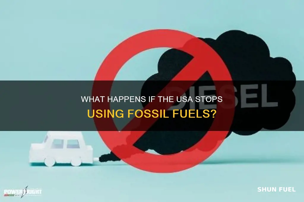 what happpen is usa stop sing fossil fuels