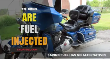 Harley-Davidson Fuel Injection Models: A Comprehensive Guide to Modern Bikes
