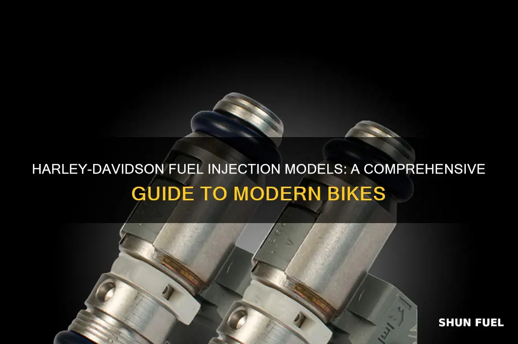 what harleys are fuel injected