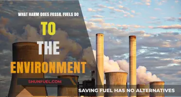 Fossil Fuels' Devastating Impact: Pollution, Climate Change, and Environmental Destruction