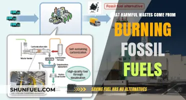 Toxic Legacy: Harmful Wastes from Burning Fossil Fuels Explained