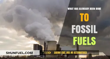 Fossil Fuels: Past Efforts and Actions Taken So Far