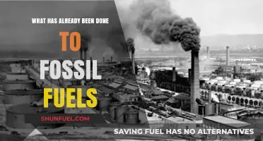 Fossil Fuels: Past Actions, Global Impacts, and Future Challenges