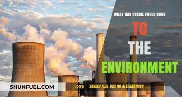 Fossil Fuels' Devastating Impact: Environmental Consequences and Urgent Solutions