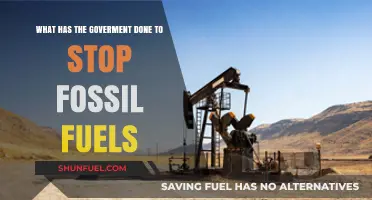 Government Actions to Curb Fossil Fuels: Policies and Progress