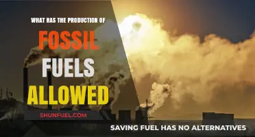 Fossil Fuel Production: Powering Progress, Shaping Economies, and Impacting Our Planet