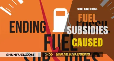 Fossil Fuel Subsidies: Environmental, Economic, and Social Consequences Explored