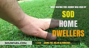 Heating Fuel Choices of Sod Home Dwellers: A Historical Insight