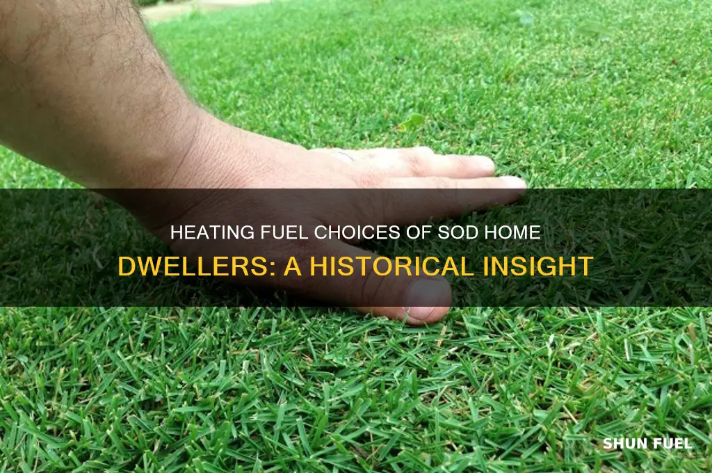 what heating fuel source was used by sod home dwellers