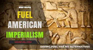 Economic Ambitions, Military Might, and Cultural Beliefs: Drivers of American Imperialism