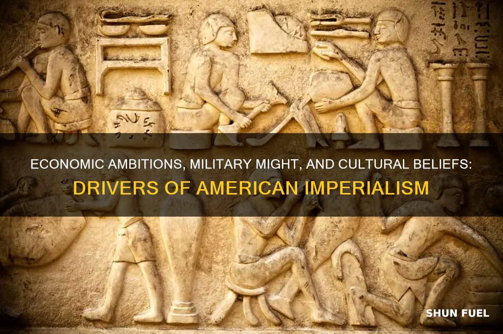 what helped fuel american imperialism