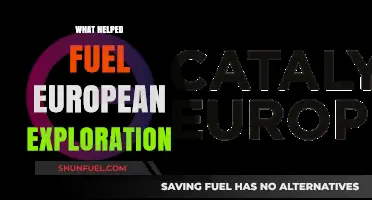 Curiosity, Trade, and Technology: The Catalysts of European Exploration
