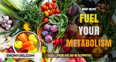 Boost Your Metabolism: Foods, Habits, and Lifestyle Tips for Energy