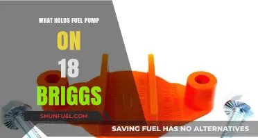 What Secures the Fuel Pump on an 18 HP Briggs Engine?